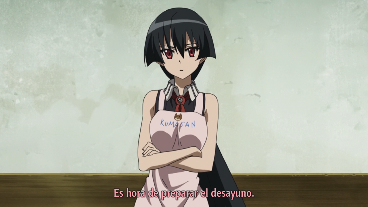 Akame ga Kill! (ShinSekai Fansub)